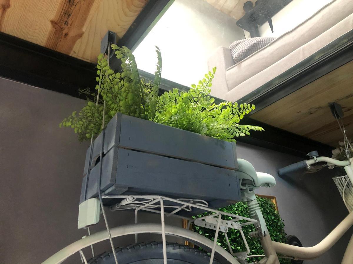 Casa Rural Atelier - Jardin, Wifi, Aire acondicionado y netflix Velliza Exterior foto